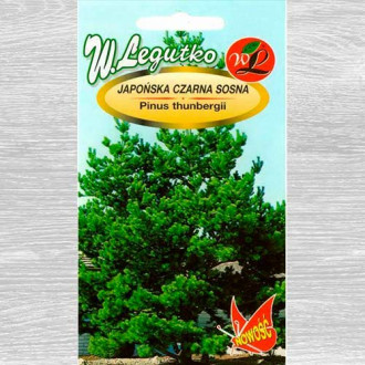 Pin negru japonez imagine 4