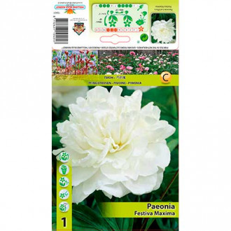 Piwonia Festiva Maxima interface.image 8