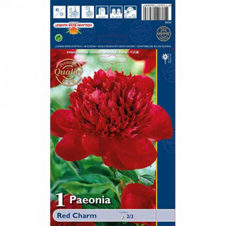 Piwonia Red Charm interface.image 7