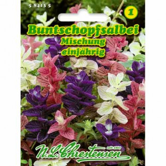 Пламъче, смес от цветове Chrestensen изображение 2