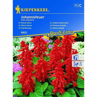 Пламъче Johannisfeuer Kiepenkerl изображение 6