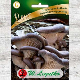 Pleurotus imagine 1