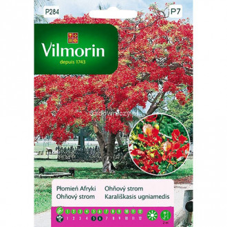 Płomień afryki (Delonix Regia) Vilmorin interface.image 2