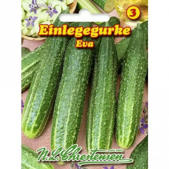 Краставица Eva изображение 6