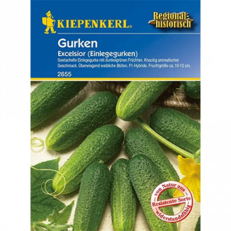 Краставица за консервиране Excelsior, F1 изображение 18