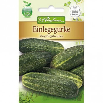 Краставица Vorgebirgstrauben изображение 11