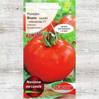 Pomidor Bruno F1 interface.image 4