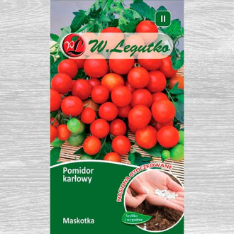 Pomidor gruntowy karłowy  Maskotka  interface.image 3