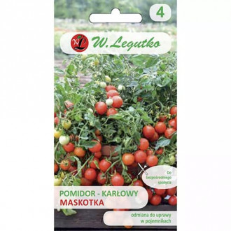 Pomidor cherry Maskotka interface.image 4