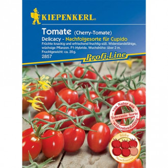 Pomidor cherry Delicacy interface.image 8