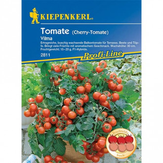 Pomidor cherry Vilma interface.image 10