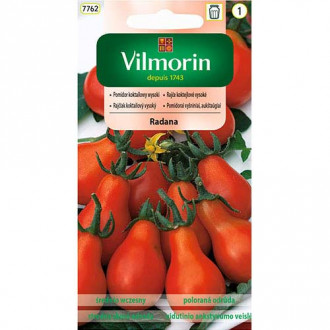 Pomidor koktajlowy wysoki Radana Vilmorin interface.image 17