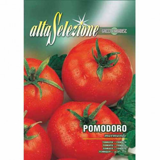 Pomidor Marmande Morami
