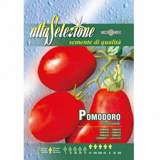 Pomidor Rio Grande Morami