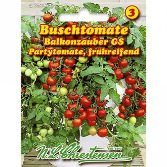 Pomidor cherry Balkonzauber interface.image 2