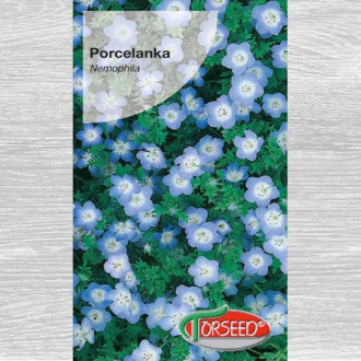 Porcelanka niebieska interface.image 1