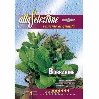 Пореч Morami изображение 3