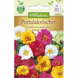 Portulaka pelna, mix kolorow interface.image 1