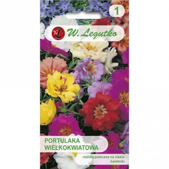 Portulaka pelna, mix kolorow interface.image 2