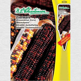 Porumb decorativ, mix multicolor imagine 6