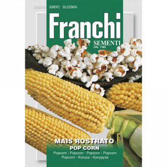 Porumb Pop Corn imagine 1