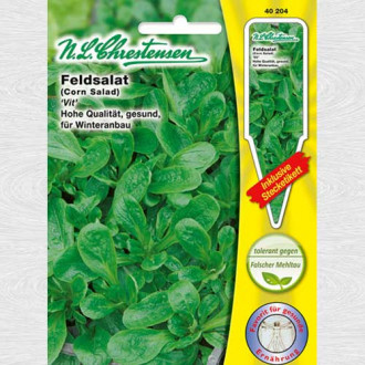 Porumb Vit imagine 7