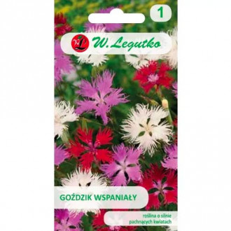 Прекрасен карамфил, смес Legutko изображение 18