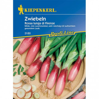 Пролетен лук Rossa lunga di Firenze Kiepenkerl изображение 7