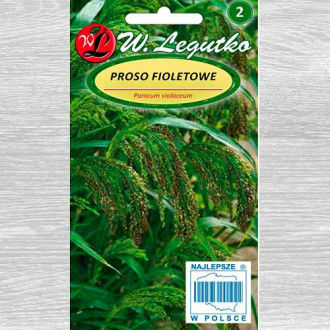 Proso fioletowe interface.image 1