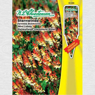 Quamoclit Mina Lobata imagine 1