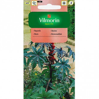 Rącznik czerwonolistny Vilmorin interface.image 1