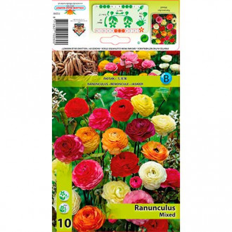 Jaskier, mix kolorów interface.image 1