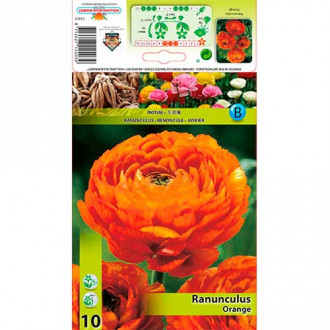 Ranunculus Orange imagine 7