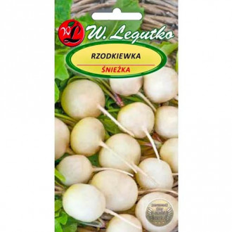 Репичка бяла Legutko изображение 6