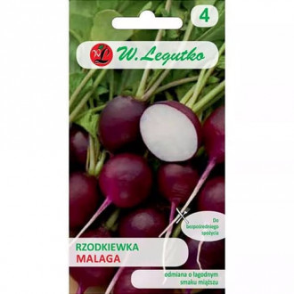 Репичка Malaga fioletowa изображение 7