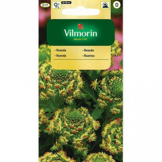 Rezeda wonna wielkokwiatowa, mieszanka Vilmorin interface.image 1