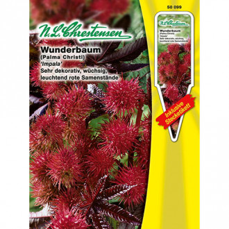 Ricin Impala imagine 2