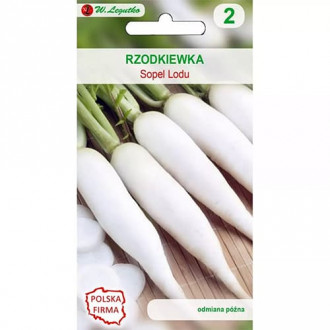 Ridiche albă Sloi de gheață imagine 9