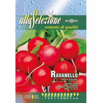 Ridiche de lună Burro gigante imagine 10