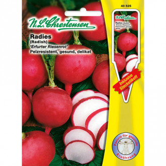 Ridiche gigant Erfurt imagine 2