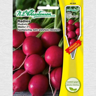 Ridiche Melito F1 imagine 13