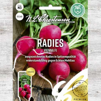 Ridiche Vienna F1 imagine 12