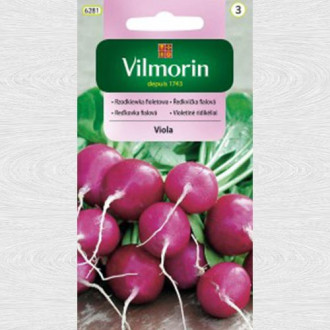 Ridiche violet Viola imagine 6