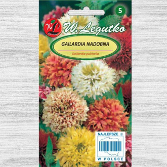 Roata de foc (Gaillardia), mix multicolor imagine 3
