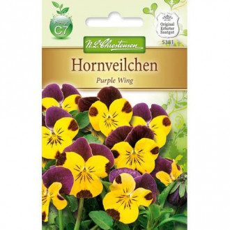 Теменужка Purple Wing изображение 3