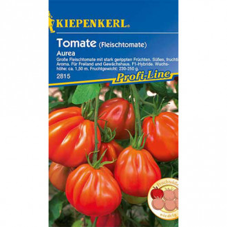 Roșie Aurea F1 Kiepenkerl imagine 8