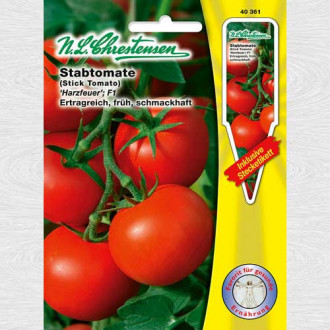 Rosie Harzfeuer F1 imagine 7