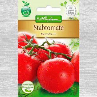 Roșie Mercedes F1 imagine 4