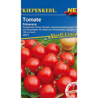 Roșie Primavera Kiepenkerl imagine 15