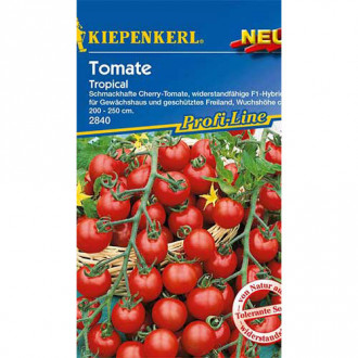 Roșie Tropical F1 Kiepenkerl imagine 4